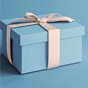 Tiffany & Co. Signature Blue Gift Box with White Ribbon
